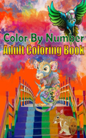 Color By Number Adult Coloring Book