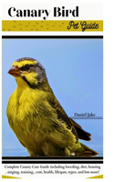 Canary Bird pet Guide