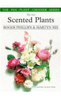 Best Scented Plants