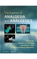 Essence of Analgesia and Analgesics