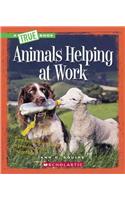 Animals Helping at Work