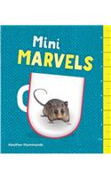 Abrams NFS Infact: Leveled Reader Mini Marvels(Abrams NFS Infact)