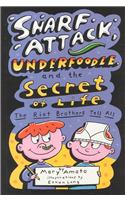 Snarf Attack, Underfoodle, and the Secret of Life: The Riot Brothers Tell All