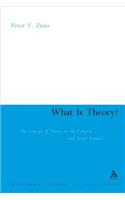 What Is Theory?
