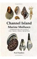 Channel Island Marine Molluscs