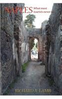 Naples, What Most Tourists Never See
