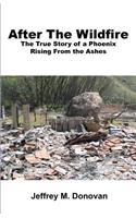 After The Wildfire