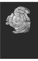 Squirrel Scribble