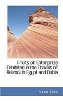 Fruits of Enterprize Exhibited in the Travels of Belzoni in Egypt and Nubia