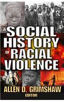 Social History of Radical Violence