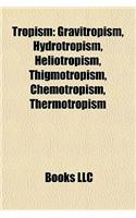 Tropism Tropism: Gravitropism, Hydrotropism, Heliotropism, Thigmotropism, Chegravitropism, Hydrotropism, Heliotropism, Thigmotropism, Chemotropism, Thermotropism Mot(English)