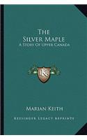 Silver Maple