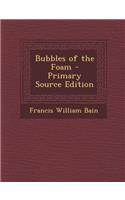 Bubbles of the Foam - Primary Source Edition