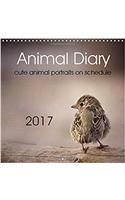 Animal Diary 2017: Diary with Lovely Animal Portraits(Calvendo Animals)