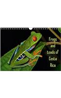 Frogs and Toads of Costa Rica / UK-Version 2018