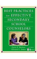 Best Practices for Effective Secondary School Counselors