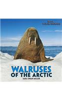 Walruses of the Arctic: (Brrr! Polar Animals)