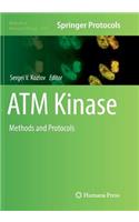 ATM Kinase