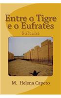 Entre o Tigre e o Eufrates