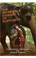 Incredible Essence of Elephants