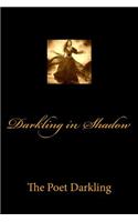 Darkling in Shadow