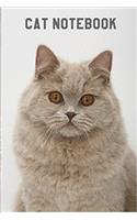 Cat Notebook: 6x 9 Lined Notebook Cat Composition Notebook Journal and Diary100 Pages (Volume 22)