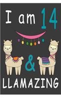 I Am 14 And Llamazing