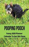 Pooping Pooch