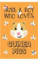Just A Boy Who Loves Guinea Pigs