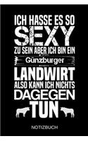 Ich hasse es so sexy zu sein aber ich bin ein Günzburger Landwirt also kann ich nichts dagegen tun: A5 Notizbuch - Liniert 120 Seiten - Geschenk/Geschenkidee zum Geburtstag - Weihnachten - Ostern - Vatertag - Muttertag - Namenstag