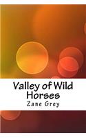 Valley of Wild Horses