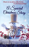 A Special Christmas Story