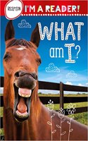 Im a Reader! What Am I? (Reception: Ages 4+)