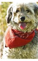 Dog In A Scarf Notebook