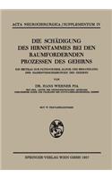 Die Schädigung des Hirnstammes bei den Raumfordernden Prozessen des Gehirns: Ein Beitrag zur Pathogenese, Klinik und Behandlung der Massenverschiebungen des Gehirns(4 Acta Neurochirurgica Supplement)