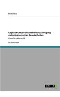 Kapitalstrukturwahl unter Berücksichtigung makroökonomischer Gegebenheiten