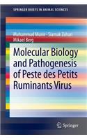 Molecular Biology and Pathogenesis of Peste Des Petits Ruminants Virus