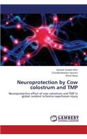 Neuroprotection by Cow Colostrum and Tmp