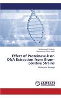 Effect of Proteinase-K on DNA Extraction from Gram-Positive Strains