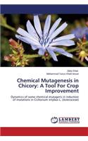 Chemical Mutagenesis in Chicory