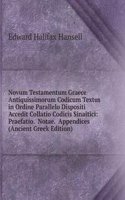 Novum Testamentum Graece Antiquissimorum Codicum Textus in Ordine Parallelo Dispositi Accedit Collatio Codicis Sinaitici: Praefatio.  Notae.  Appendices (Ancient Greek Edition)