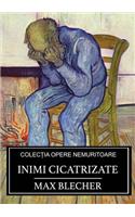 Inimi cicatrizate