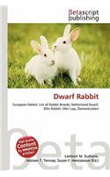 Dwarf Rabbit: (English)