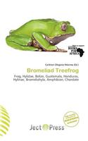Bromeliad Treefrog