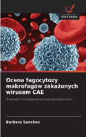 Ocena fagocytozy makrofagów zakazonych wirusem CAE