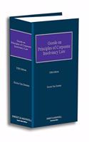 Goode on Principles of Corporate Insolvency Law 5th ed.