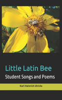 Little Latin Bee