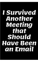 I Survived Another Meeting that Should Have Been an Email