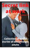 Secret link at work (volume 11)