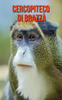 Cercopiteco di Brazzà
